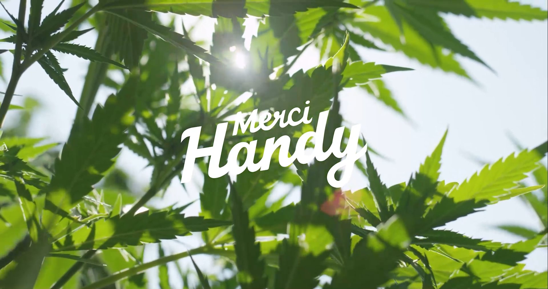 Merci Handy — Hemp Skincare — video 1