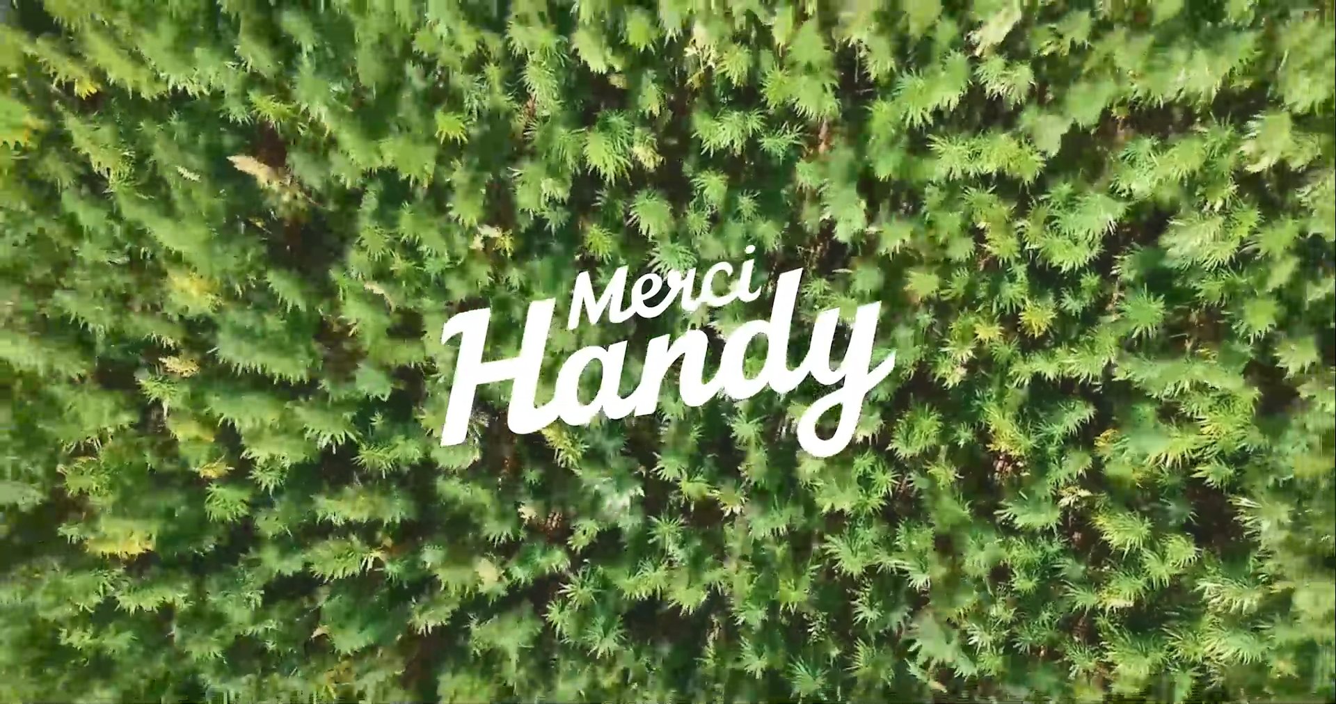 Merci Handy — Hemp Skincare — video 3