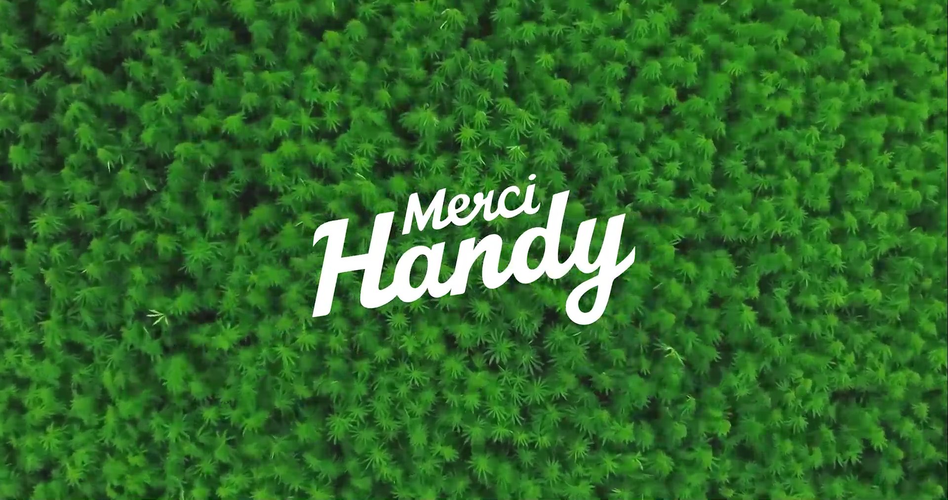 Merci Handy — Hemp Skincare — video 4